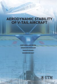 Aerodynamic Stability of V-Tail Aircraft